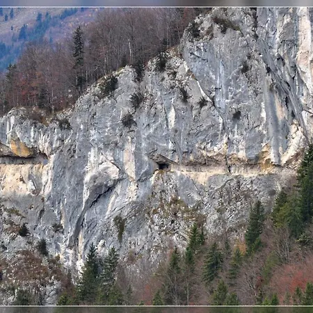 Hostel-Badgoisern1 Hotel